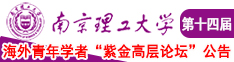 鸡巴草逼南京理工大学第十四届海外青年学者紫金论坛诚邀海内外英才！